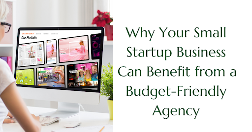 Budget-Friendly Agency